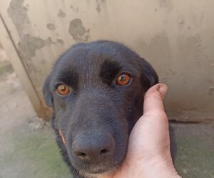 img-20250219-wa0046.jpeg