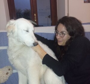 img-20250216-wa0014.jpeg