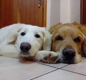 img_20250205_175841.jpeg