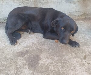 img-20250219-wa0054.jpeg