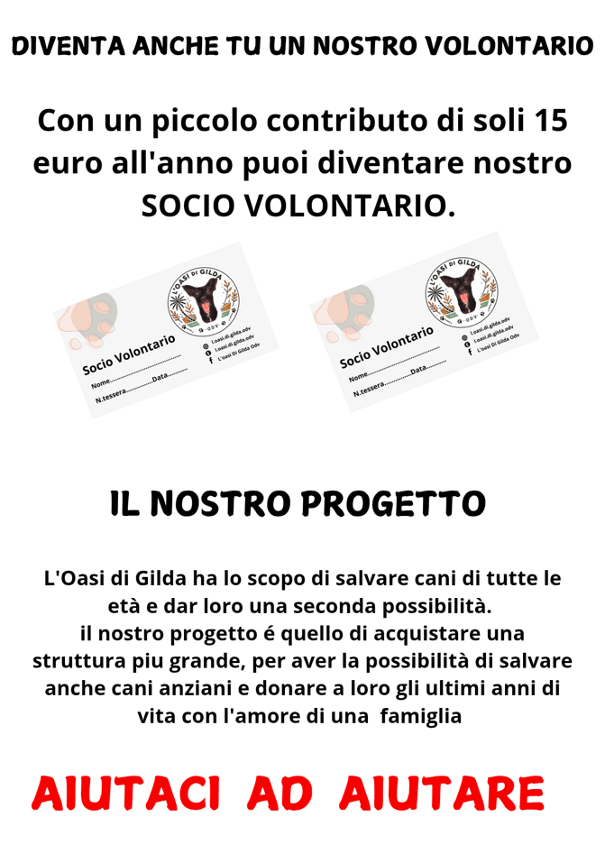 l'oasi di gilda_20250111_141729_0001