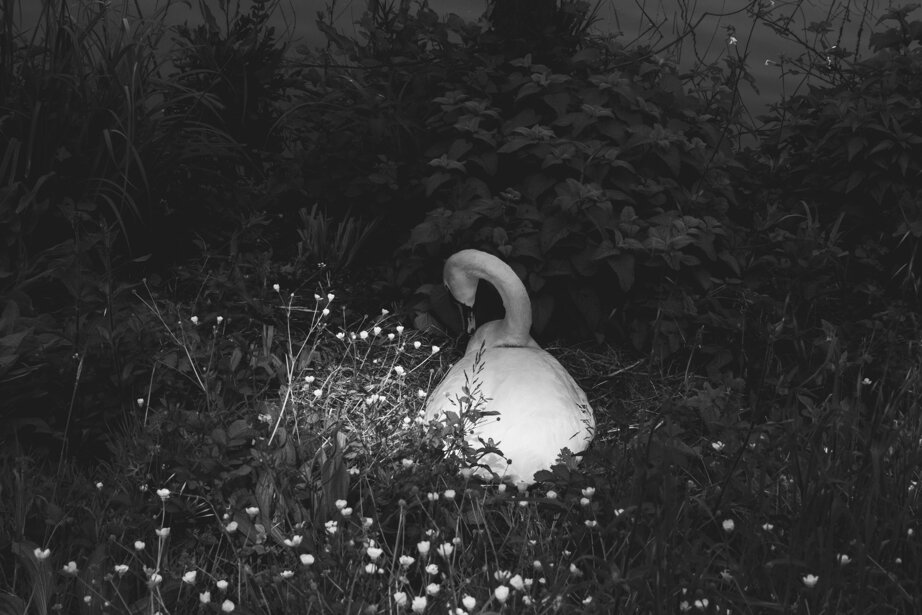 197354c7eb94d96e978d9741e3c5c5440f3a592c