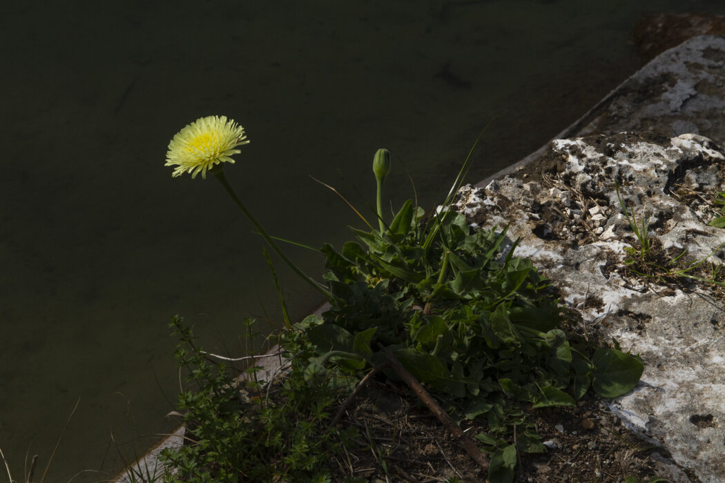 525a6481f6fef1676fb717536b95fe5038784d82