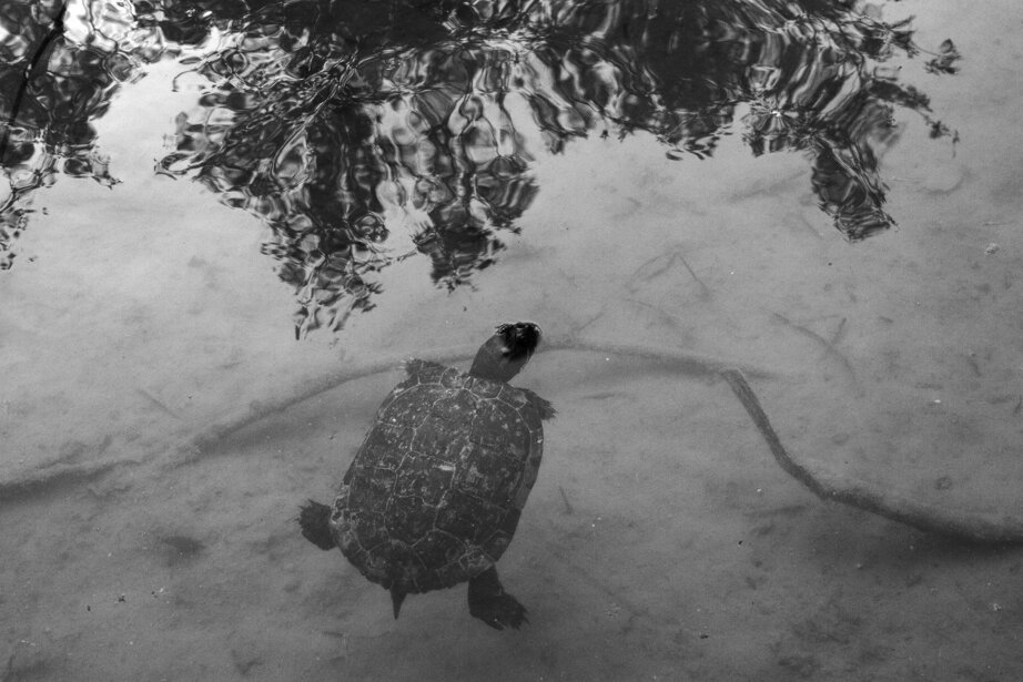 d97cca89617c3a0cfc6956deb8a38bcae1c1a532