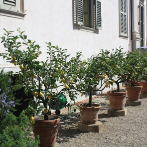 Villa San Francesco Varese Restauro Villa San Francesco Varese Restauro