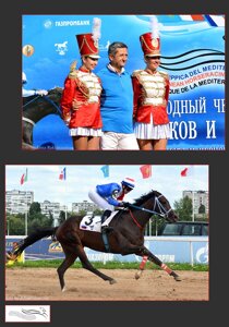 2546835e98793d74e815c572f3f1010b1c7464d3 2546835e98793d74e815c572f3f1010b1c7464d3