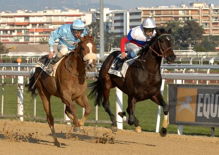 455eacd7abe968b9b6a5e01bf0b4fbe86f4a68a1 455eacd7abe968b9b6a5e01bf0b4fbe86f4a68a1