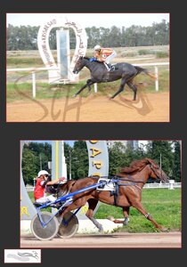 ad4a93eedf40669c2f21e0d746f7ee6e459eb1b8 ad4a93eedf40669c2f21e0d746f7ee6e459eb1b8