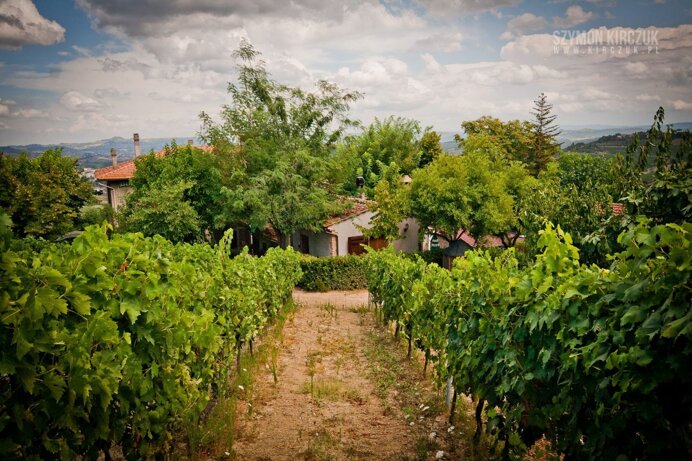 01e4ff3a61396b2e836ff7cfd11bd215ff9eae79