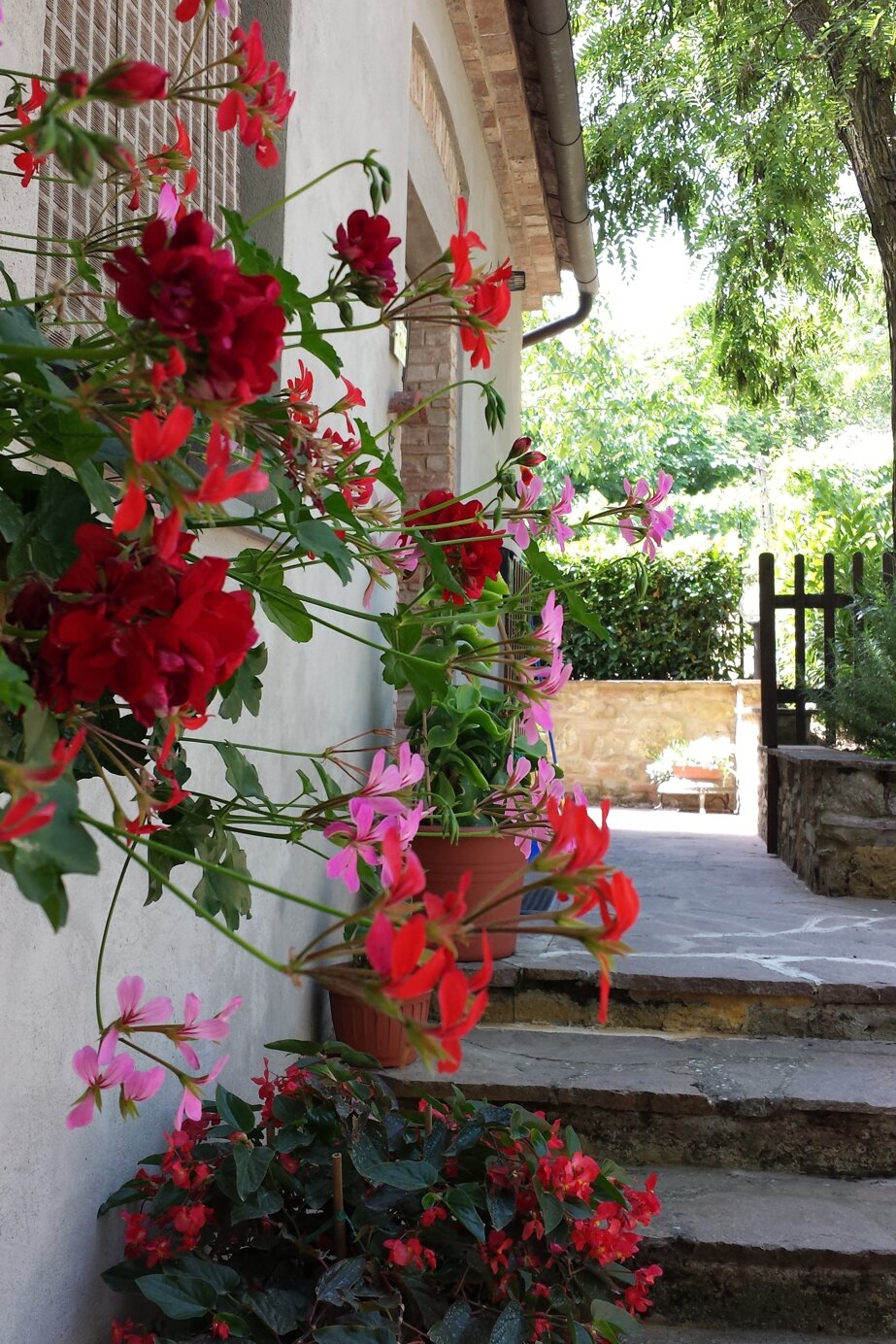 eyJlbiI6IiJ9 eyJlbiI6IiJ9