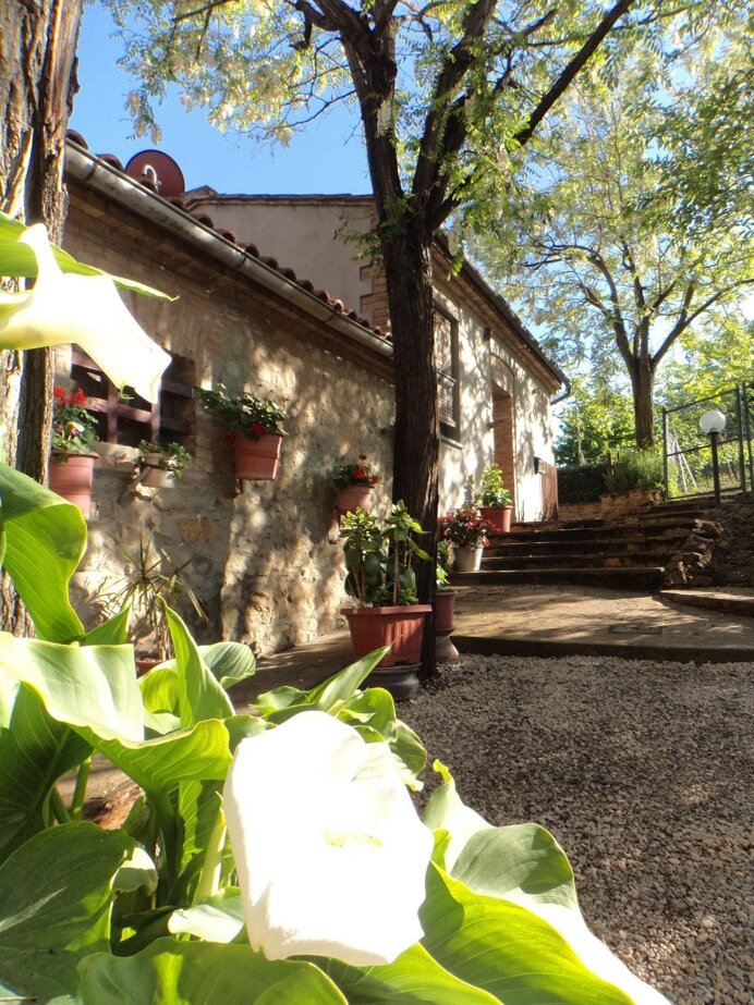 498d89a7c2c7873a65191ff90a816afd9faa5940