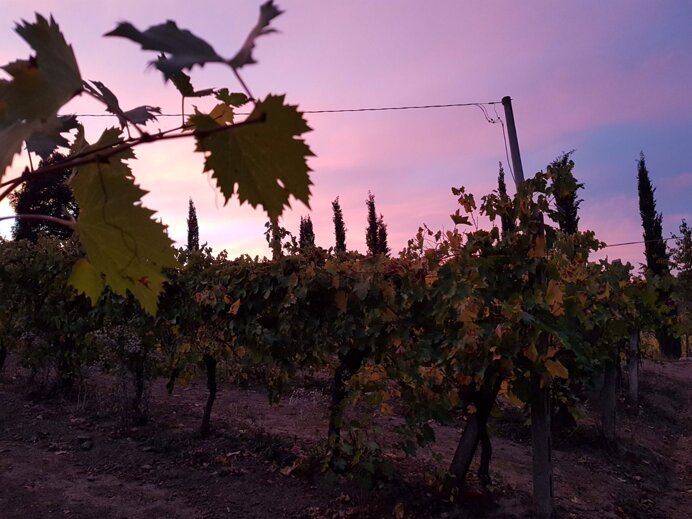 7a3d4464fde2bb5cd87d7daef0301c050815898d