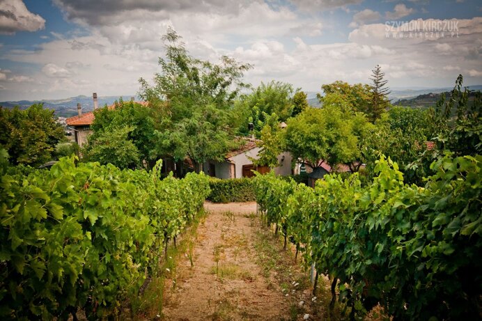 87e2e097e27a35ae413b0ec167475fce80fedf29