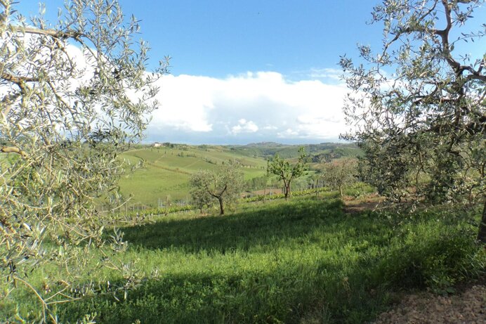 c2606036b79b2d194b4a297b2d46f9bad84cf858