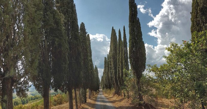 d22556355a6e62e03e54ec195397533e50bd33bf