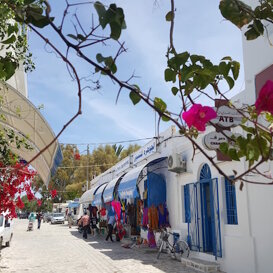 2wri.com tour di Djerba furistra 4x4 Le suggestive zone di Djerba