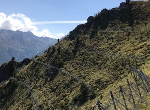 img_1942.jpeg