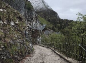 img_5622.jpeg