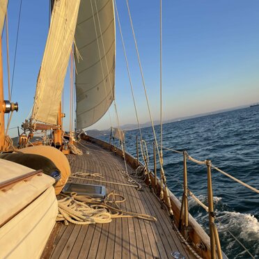 50ac2677-e7b8-445a-95ea-5eb1048e3983