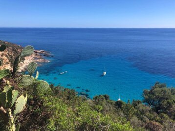 47e1fe5b-678d-4b68-a5c4-467c70997f2e