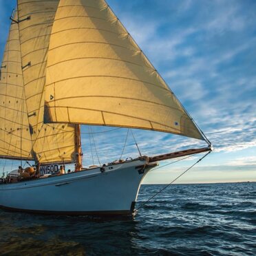 778ee0cc-cc79-4b46-8e5f-50d369856fe5