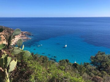 f4d15f3a-8679-472b-bc40-135b22ab1c08