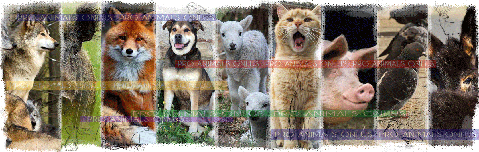 789ea2385df703714b421169a3664e7f8ce2aa82