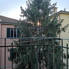 View from the balcony The place is quite and with no traffic or any other loud noises