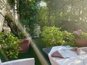 img_0153.jpeg