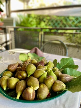img_0291(1).jpeg