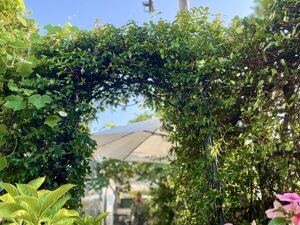 img_0161.jpeg