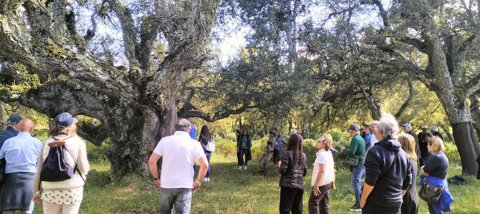 eyJpdCI6IlN1Z2hlcmEgc2Vjb2xhcmUgZGkgTG9lbGxlIGltbWVyc2EgbmVsbGEgbmF0dXJhIGRpIEJ1ZGR1c/IifQ==