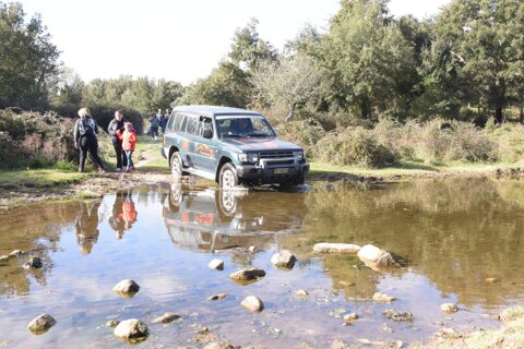 eyJpdCI6IlR1cmlzdGkgaW4gdmlzaXRhIGd1aWRhdGEgYWkgc2l0aSBhcmNoZW9sb2dpY2kgZGkgQnVkZHVz8iJ9