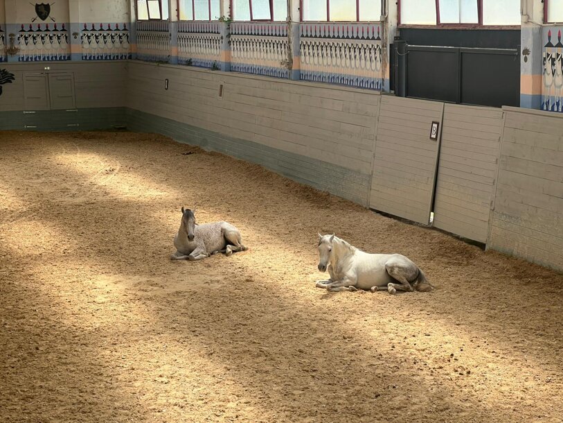 img-20260604-wa0007.jpeg