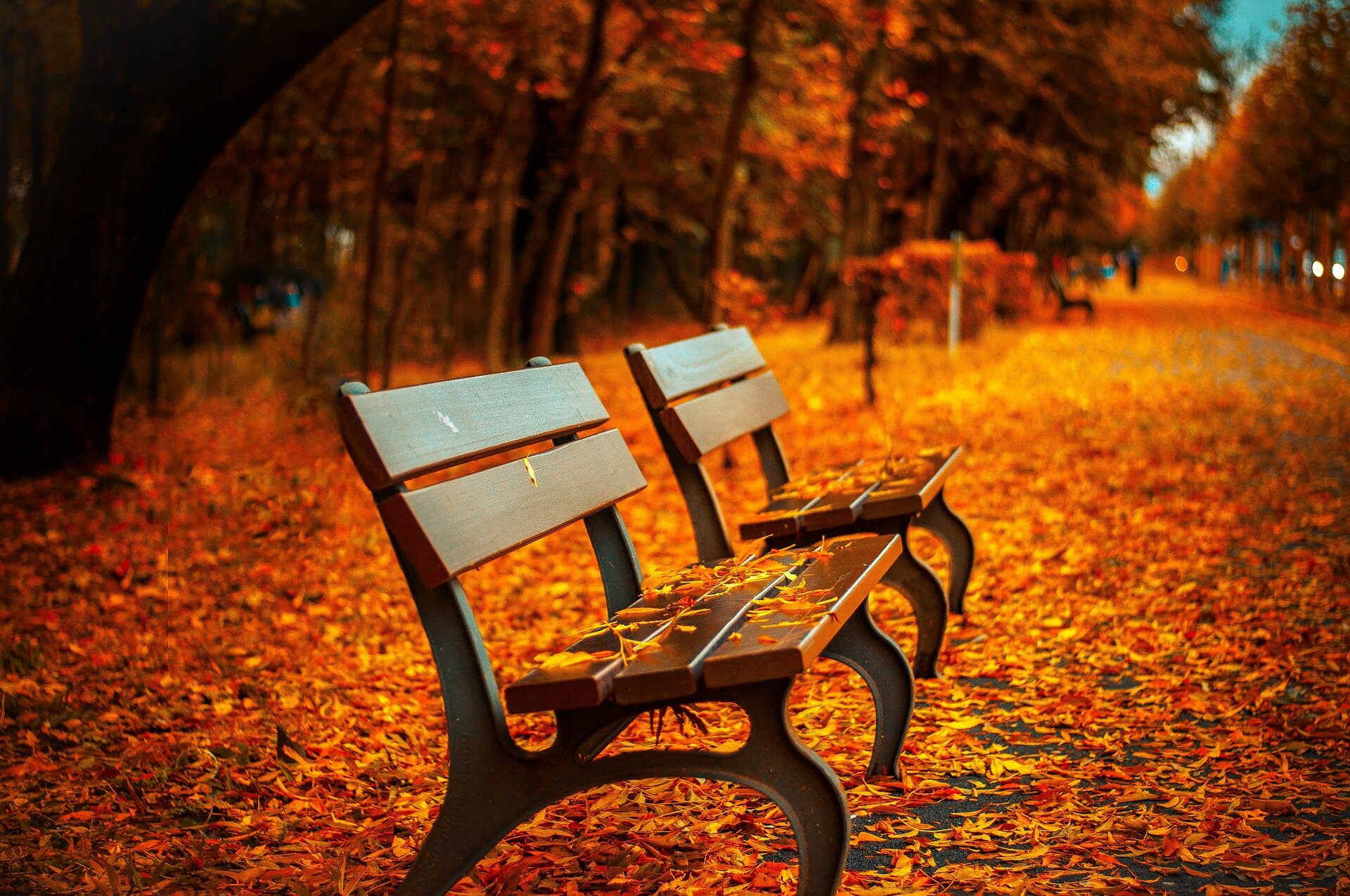 Festa d'autunno