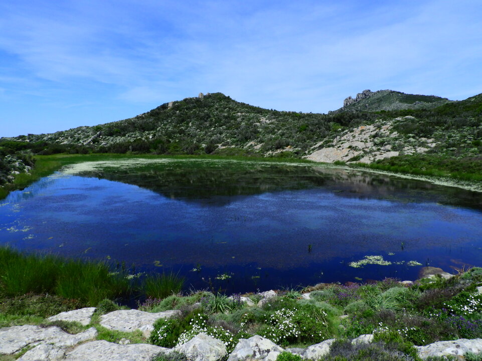 dscn6860.jpeg dscn6860.jpeg