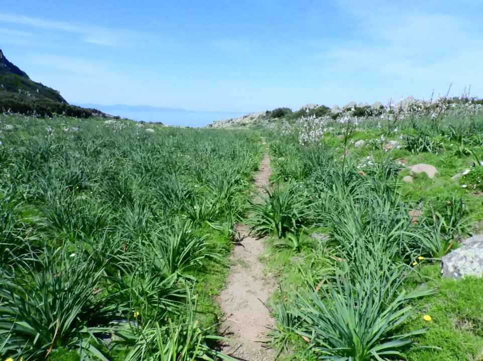 dscn6843.jpeg dscn6843.jpeg