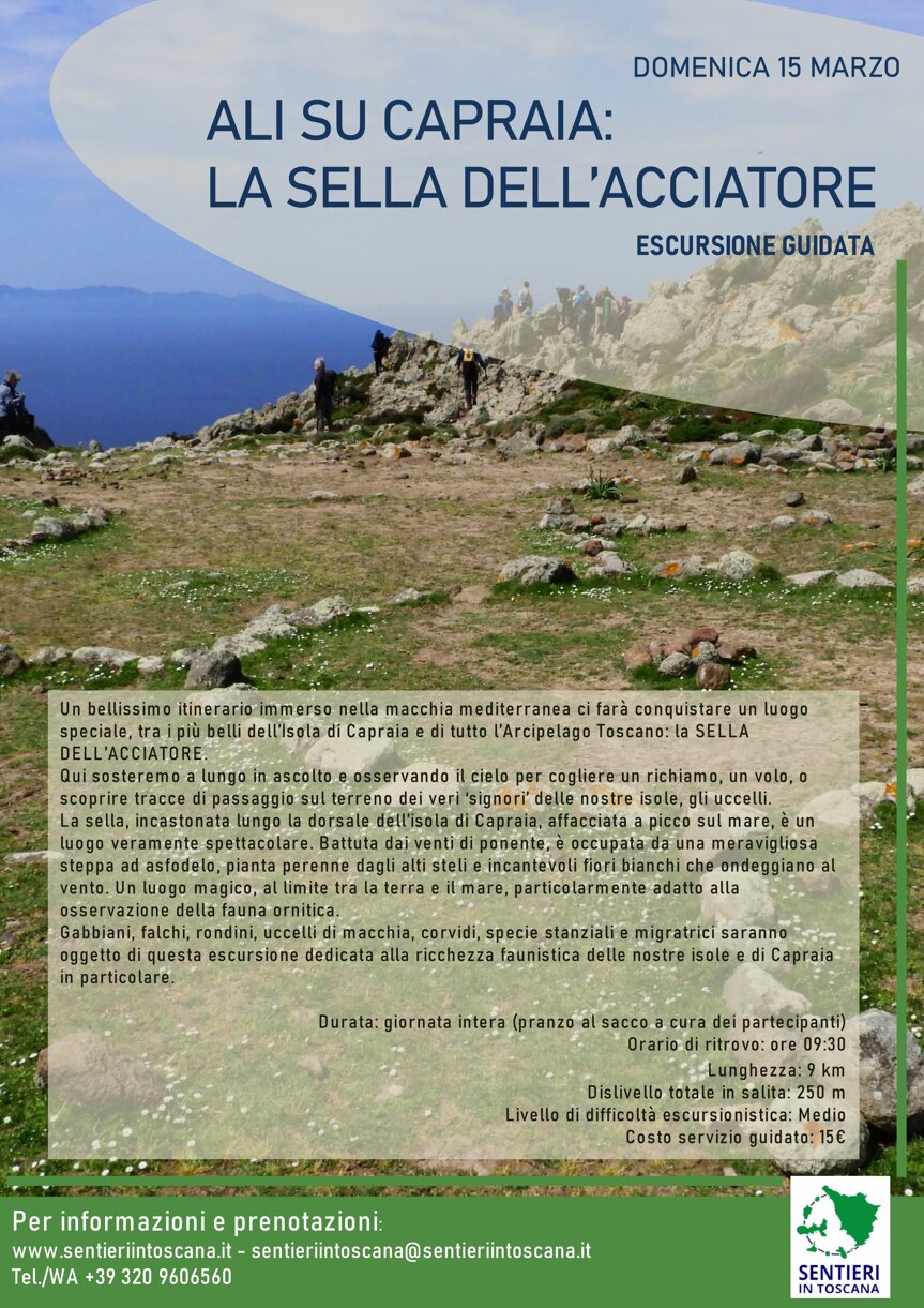 ali su capraia_acciatore 15.03.26.jpeg