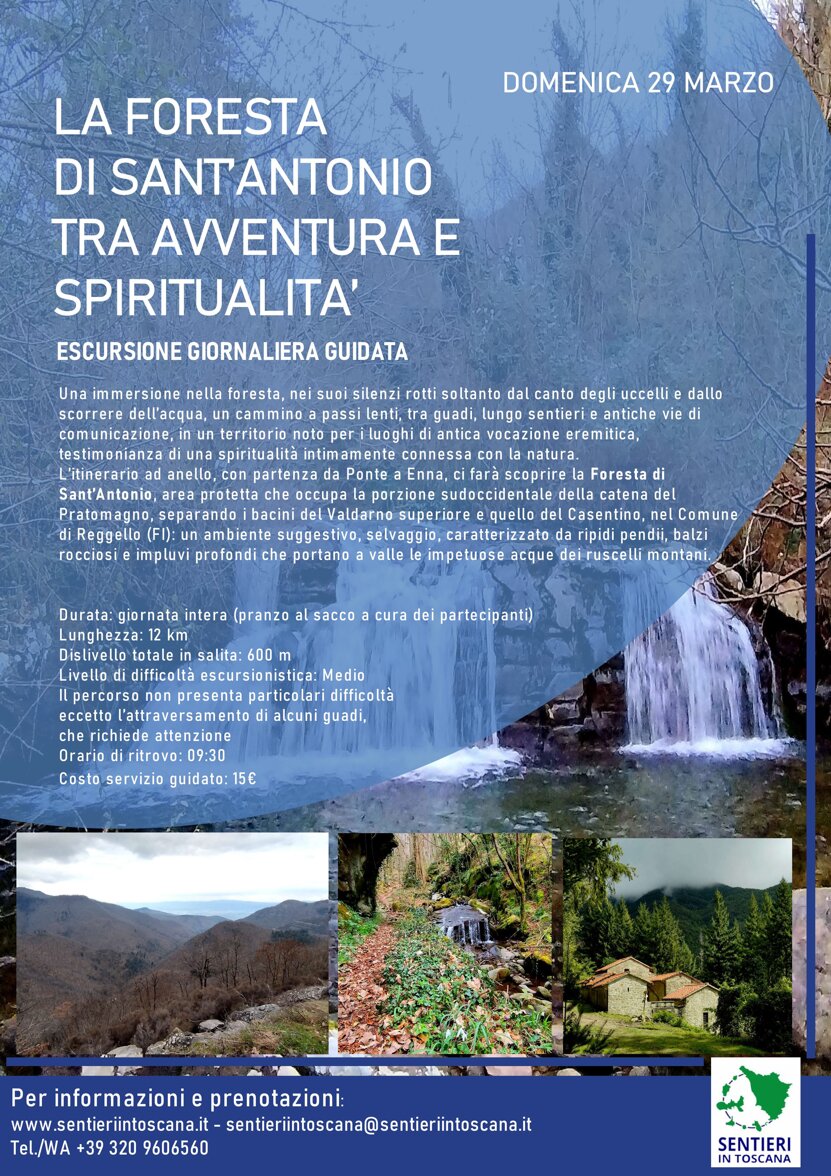 foresta di sant'antonio 29.03.26.jpeg