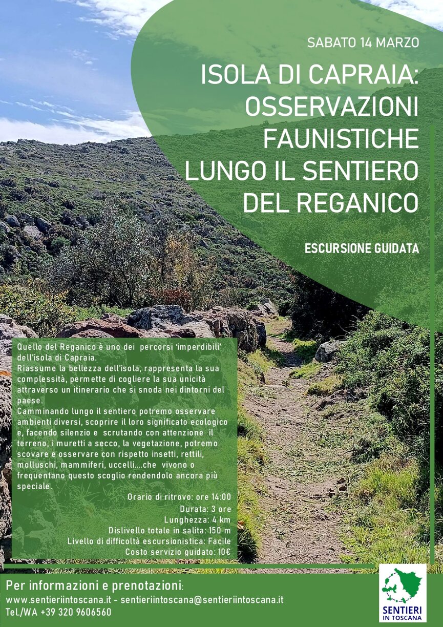 capraia fauna_reganico 14.03.26.jpeg