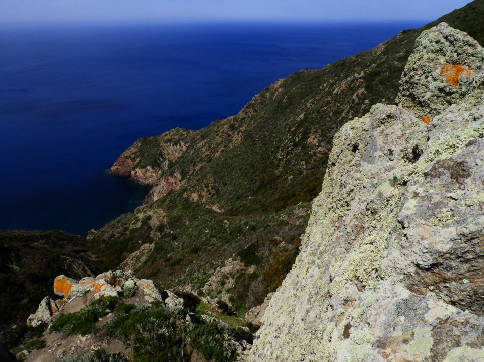 dscn7318.jpeg dscn7318.jpeg