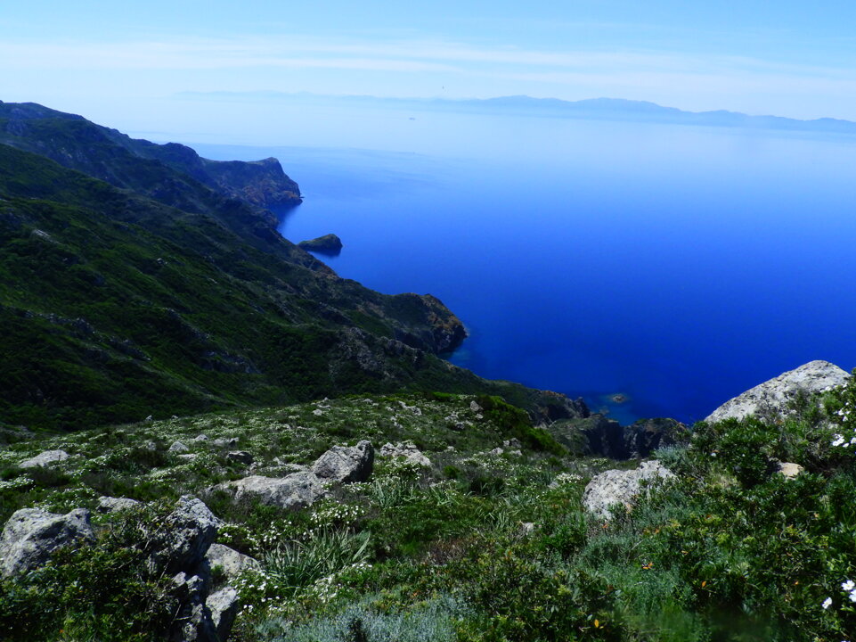 dscn6884.jpeg dscn6884.jpeg