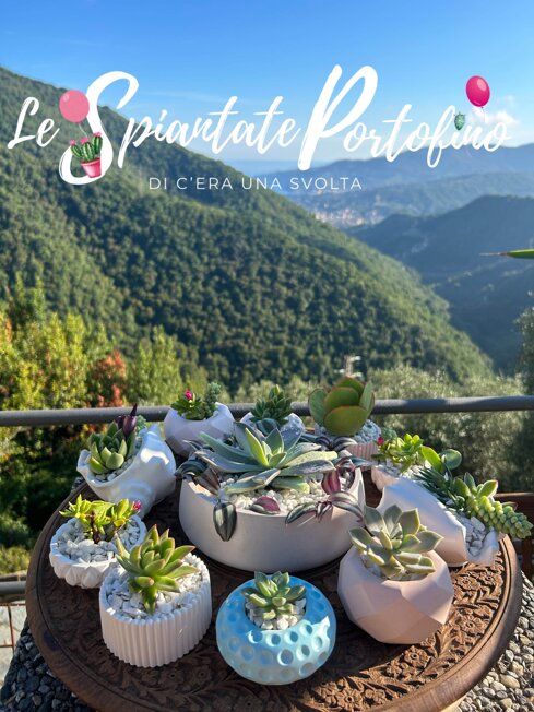 fondo copertina + logo.jpeg