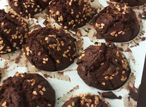 img_1400.jpeg img_1400.jpeg