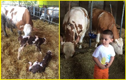 304fc1205285c7e05bee2780ec110aee6cea1874