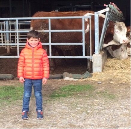 5586431fb185ebccf90ece88618d87fac018d6e6