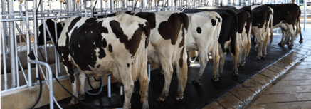 b084b9453f2c7cf0e56a5b0b543cadf0c128e718