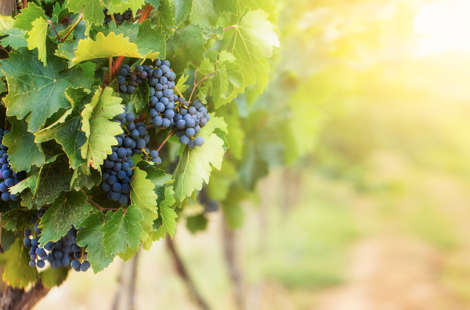 899b944bf6e6e25c8d2f25e41839ff1974f26b3b