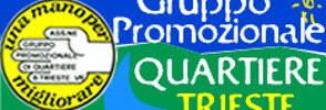 www.gruppopromozionalequartieretrieste.org