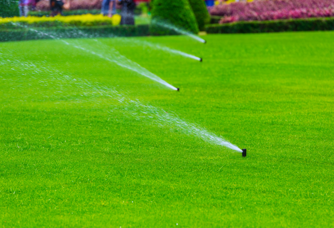 irrigazione sostenibile